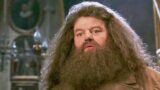 Il Dettaglio Segreto su Hagrid che Rivela una Falla nel Mondo di Harry Potter