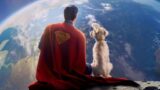 Superman: La Razza di Krypto Cambia nel Nuovo Film? La Risposta di James Gunn alle Critiche