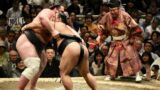 Honbasho di Novembre: L’Imperdibile Gran Finale Stagionale del Sumo