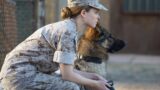 Rex: Il Film Imperdibile su una Straordinaria Amicizia tra Uomo e Cane su Iris