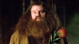 Hagrid e la Sua Casa di Hogwarts: Scopri Dove Apparteneva il Custode delle Chiavi