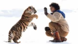 La Storia Ispiratrice del Ragazzo e la Tigre: Scopri la Verità Dietro il Film