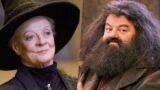 Cast di Harry Potter: Scopri Chi Saranno i Nuovi Volti di McGranitt e Hagrid!