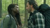 The Walking Dead: The Ones Who Live, guida completa su dove guardarlo, cast imperdibile e trama avvincente dello spin-off con Rick e Michonne