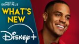 Novità su Disney+: Scopri la Stagione 29 di The Bachelor
