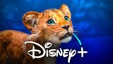 Mufasa: Scopri l’Evento Imperdibile su Disney dedicato al Re Leone