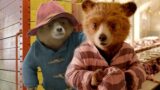 Paddington in Peru: Guida Completa per un’Avventura Indimenticabile