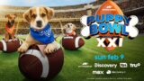 Puppy Bowl 2024: Scopri la Data e Dove Guardarlo in Diretta