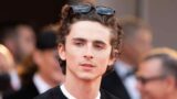 Dieci curiosità sorprendenti su Timothée Chalamet che non conoscevi