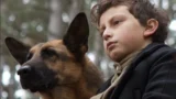 La straordinaria storia vera di Zack, il cane eroe: scopri il film che emoziona