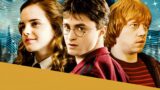 Teorie sul Trama dell’8° Capitolo di Harry Potter: Cosa Ci Aspetta?