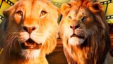 Il Successo al Box Office di Mufasa Rende Probabile un Nuovo Film Live-Action de Il Re Leone