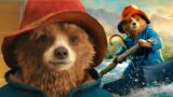 Paddington 4: Tutto ciò che devi sapere su Cast, Trama e Novità Esclusive