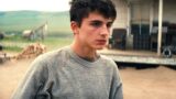 I Due Migliori Film di Timothée Chalamet Degli Ultimi 11 Anni che Stanno Spopolando su Netflix