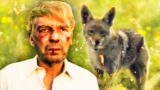 Cosa Simboleggia la Visione di Tommy di Un Altro Coyote nel Finale della Prima Stagione di Landman