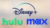 Disney-Max rivoluziona la sfida a Netflix secondo un esperto