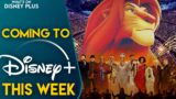 Novità Disney+ di questa settimana: Il Re Leone in concerto al Hollywood Bowl