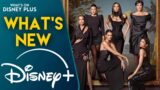 Novità su Disney+: Scopri la Stagione 6 de Le Kardashians!