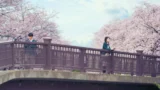Kimi no SuizЕЌ wo Tabetai: Scopri il Film dell’Anno al Cinema il 3, 4 e 5 Febbraio