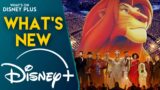 Il Re Leone live al Hollywood Bowl: Tutte le novità su Disney+