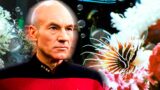 Perché patrick stewart odiava il pesce lionfish di picard in star trek: the next generation