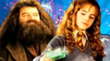 10 Personaggi di Harry Potter le cui Case di Hogwarts Ti Sorprenderanno ancora di Più