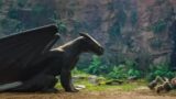 Come L’Animazione di How To Train Your Dragon Rispettando Momenti Iconici Arricchisce la Storia