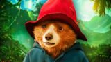 Dove È Stato Girato Paddington 3 e Quanto Costa Il Perù? Le Location di Ripresa Svelate