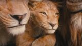 Mufasa: Come Il Re Leone È Cambiato Per Sempre Grazie A Lui