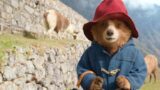 Paddington In Peru: La Sorpresa Familiare e le Decisioni che Cambiano Tutto
