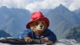 Dove Guardare Paddington In Perù: Orari e Stato Streaming