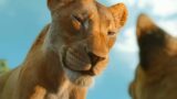 Mufasa Il Re Leone: Data di Uscita Digitale e Nuova Versione Cantabile del Prequel da 653 Milioni di Dollari