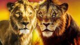 Il Re Leone merita un prequel imperdibile: il lato oscuro di Scar da scoprire