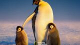 Segreti dei pinguini: guarda il trailer esclusivo su Disney