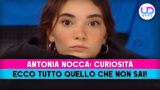 Antonia nocca: scopri le curiosità che non conosci