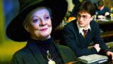 Il remake di harry potter: un professore di hogwarts rende una scena ancora più straziante