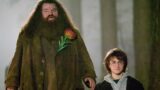 Il casting di hagrid nel remake di harry potter promette un dettaglio cruciale impeccabile