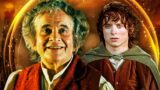 Bilbo porta l’anello a mordor al posto di frodo: un’idea alternativa nel signore degli anelli