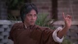 Maestro di kung fu: la leggenda delle arti marziali che ha insegnato a combattere ad altri attori