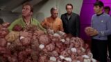 Perché kirk e klingon non sono andati in guerra nell’episodio dei tribbles di star trek