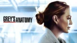 Grey’s anatomy stagione 22: cast, trama e novità imperdibili