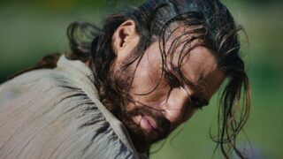 Il turco: guida alla visione della serie con can yaman