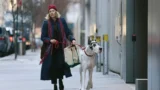 Trailer del film l’amico fedele con naomi watts
