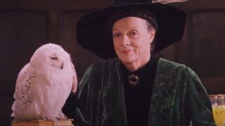 Harry potter  aggiornamento sui casting del film