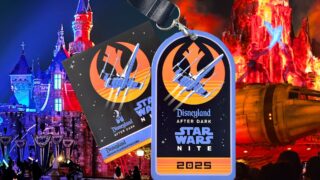 Star wars nites a Disneyland: ecco se ne vale davvero la pena