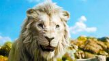 I leoni bianchi di mufasa cambiano i cattivi nel prossimo film del re leone
