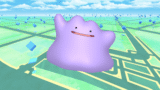 Ditto travestimenti in Pokémon GO – maggio 2025