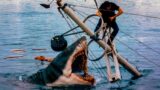 Il luogo del film jaws festeggia il 50° anniversario con una grande celebrazione