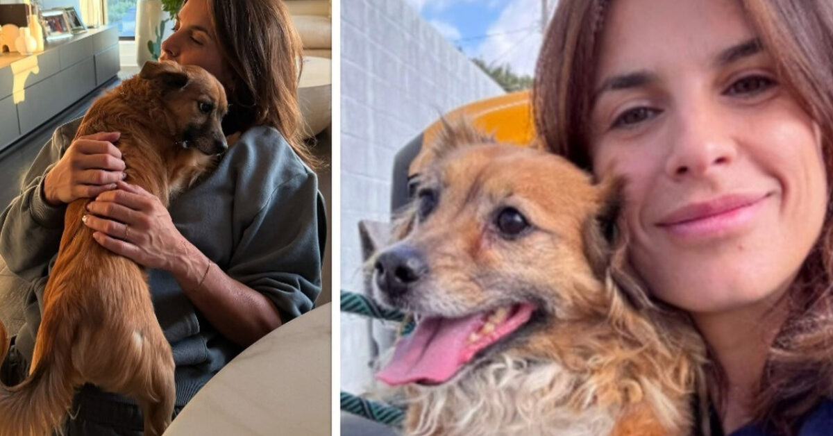 Lutto per elisabetta canalis: il doloroso annuncio che spezza il cuore Lutto per elisabetta canalis: il doloroso annuncio che spezza il cuore