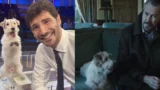 Gennarino, il cagnolino di affari tuoi e la sua connessione con rocco schiavone
